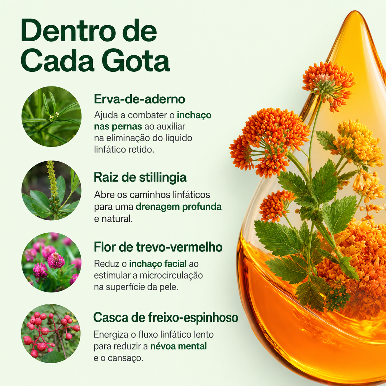 Reviva® Gotas para Drenagem Linfática